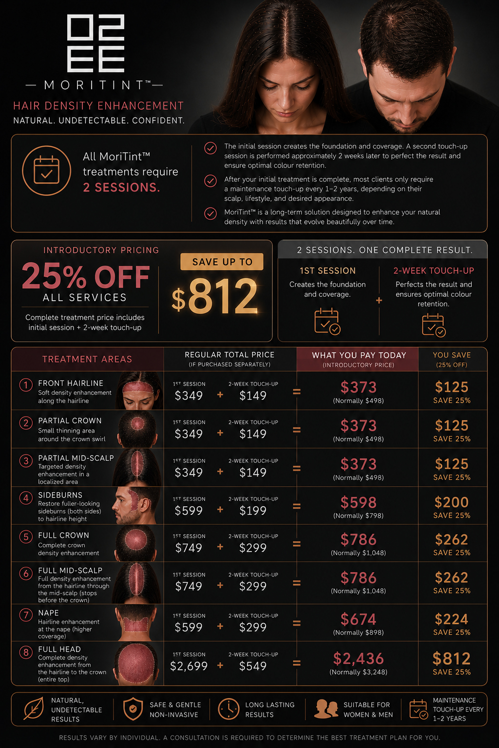 Moritint-Pricing